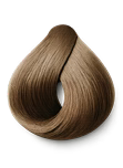 Hair Dye Shampoo - 1 Bottle